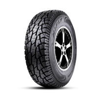 -----------------------