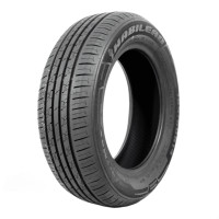 -----------------------